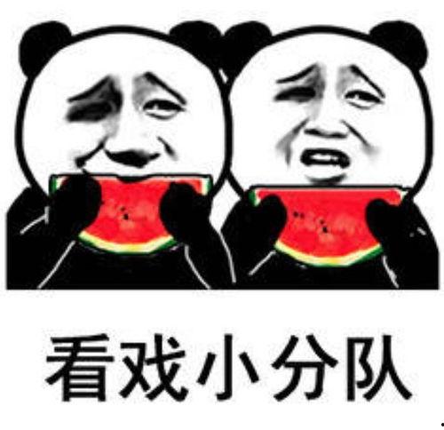 吃瓜这个表情包是什么意思,网络时代的幽默与社交风向标