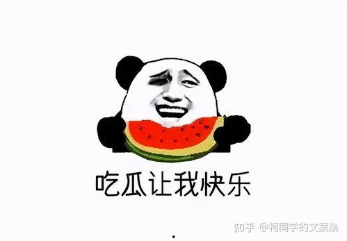 娱乐吃瓜酱不冷战,揭秘娱乐圈不冷战的秘密法则