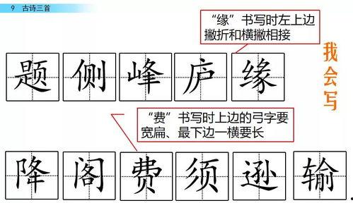 娱乐吃瓜四字成语大全及解释,揭秘娱乐吃瓜界的四字成语奥秘