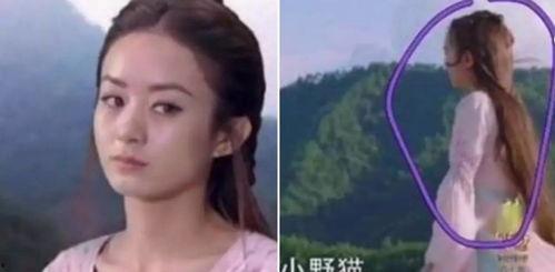 演员被扣图,演员形象受损，演艺事业面临挑战